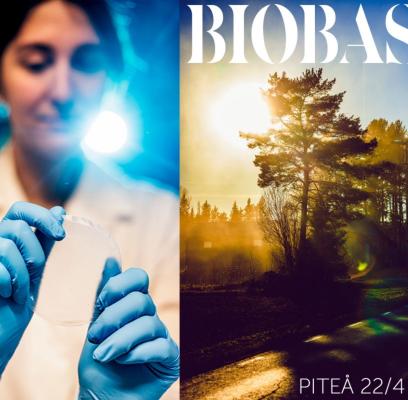 BIOBASE är en heldagskonferens om den skogliga värdekedja i Piteå.