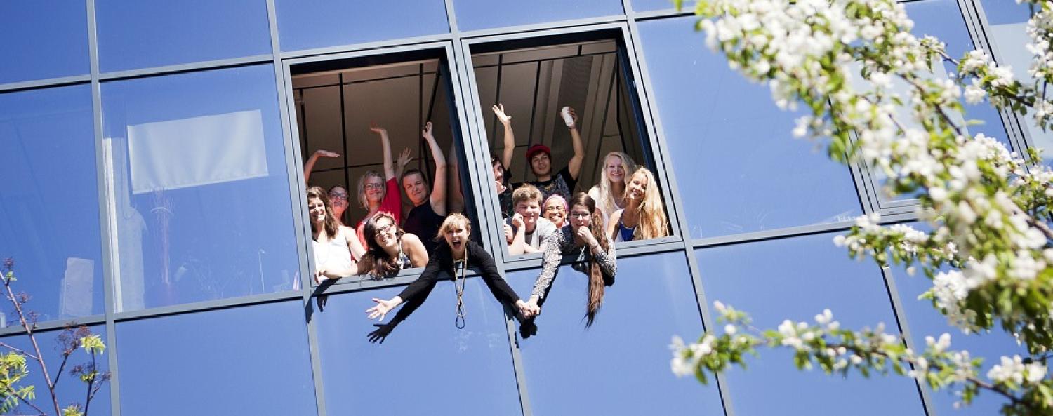 Go-Business-930x450.jpg