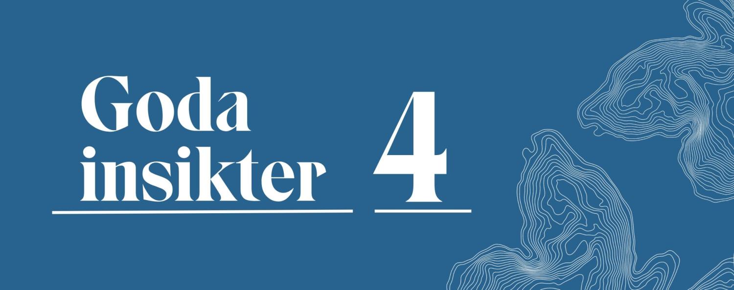 Goda insikter 4_webb