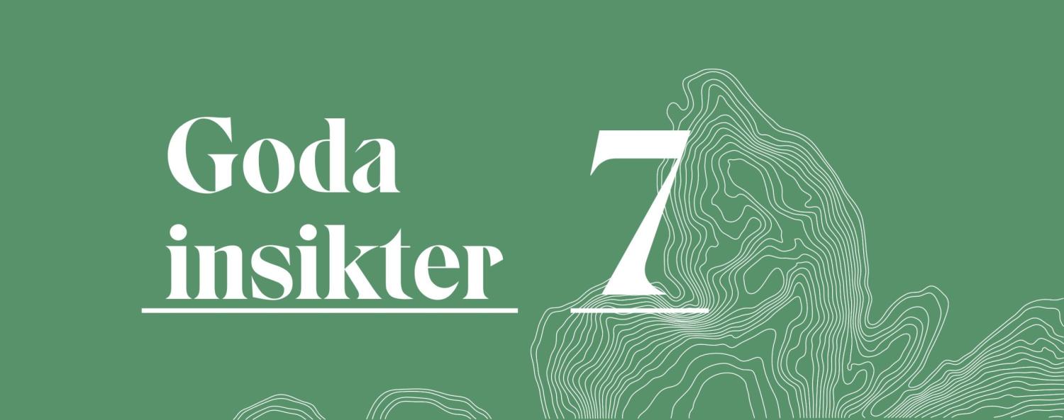 Goda insikter (7) webb