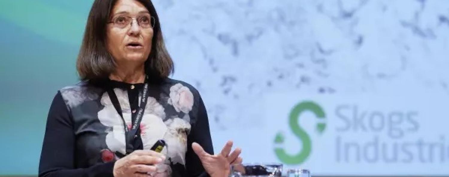 Håkansson-600x450.jpg Bild på Carina Håkansson som föreläser på konferensen BIOBASE.