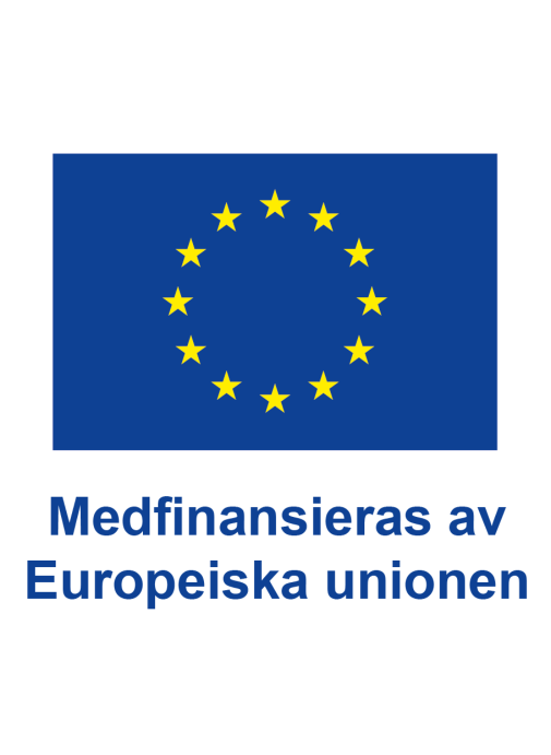 Medfinansiering Go Business