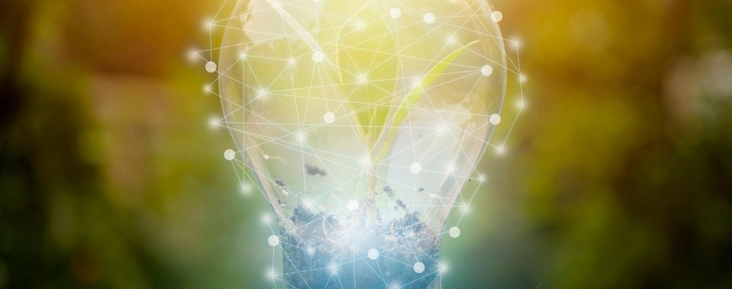 Innovationscheckar