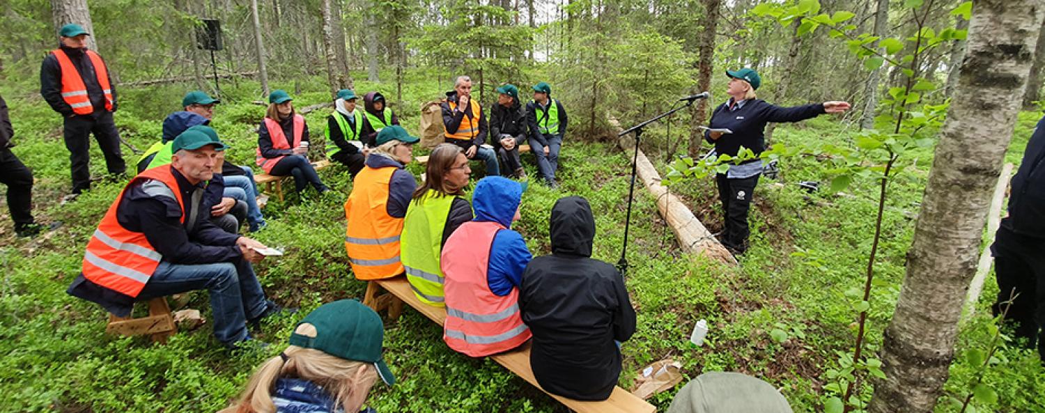 sammanfattning-stor.jpg Bild på besök till SCA:s sågverk under konferensen BIOBASE.