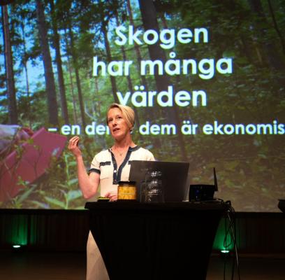 Viveka Beckeman, vd Skogsindustrierna.