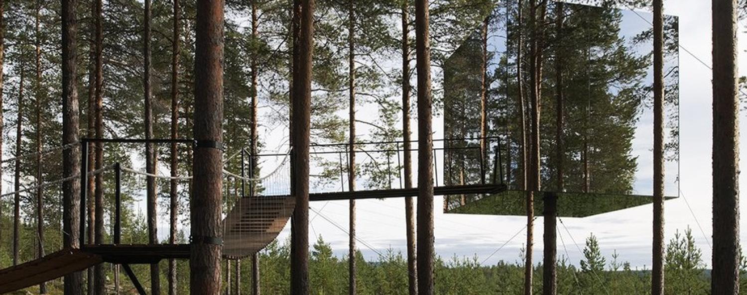 tree-hotel-930x450.jpg Bild på trähotellet i Harads.