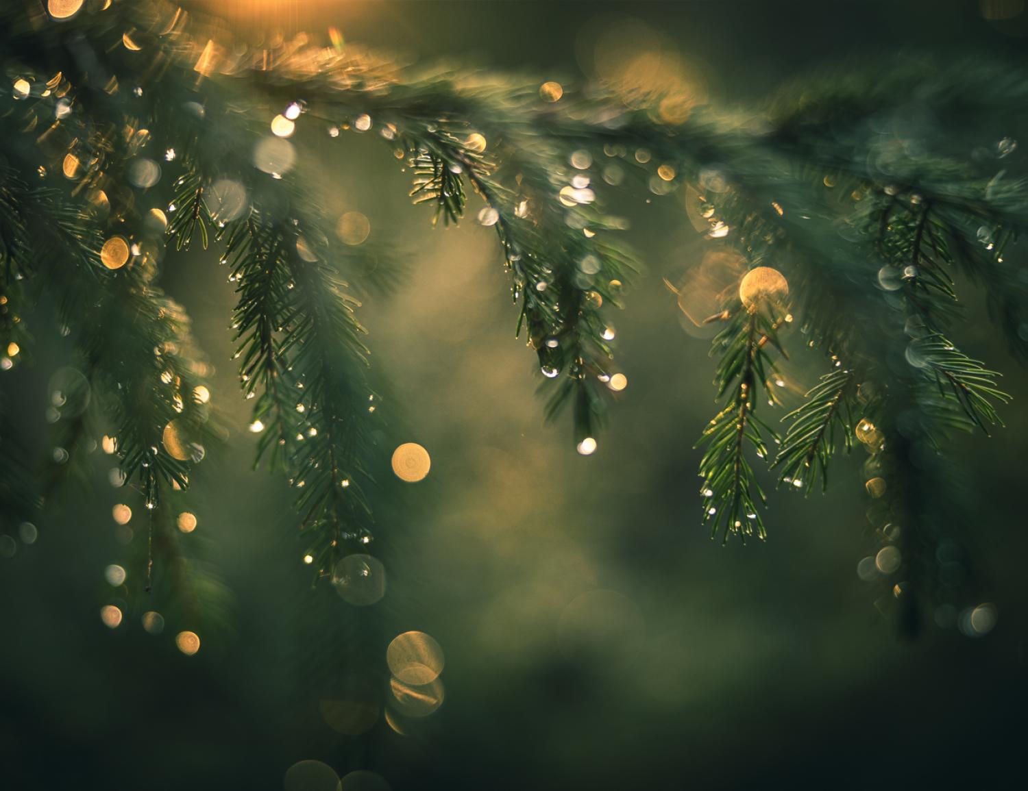 _V3A5356©JohannaFond